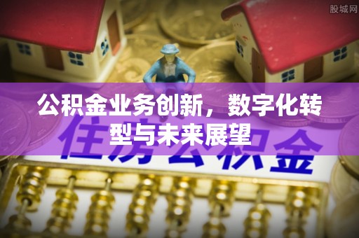 涟源公积金业务创新，数字化转型与未来展望