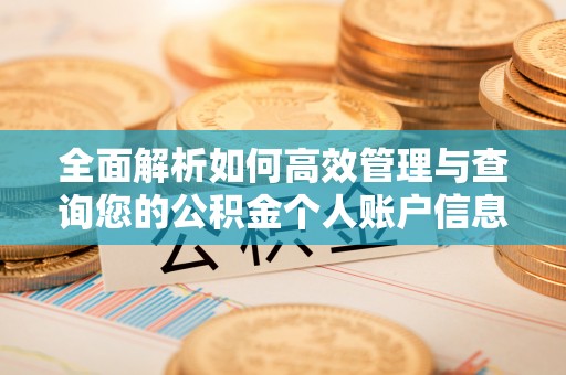 涟源全面解析如何高效管理与查询您的公积金个人账户信息