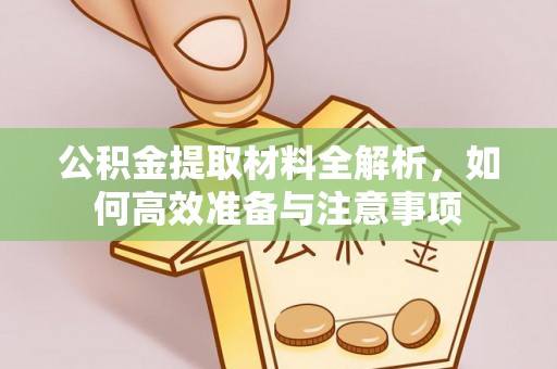 涟源公积金提取材料全解析，如何高效准备与注意事项