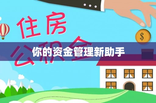 涟源你的资金管理新助手
