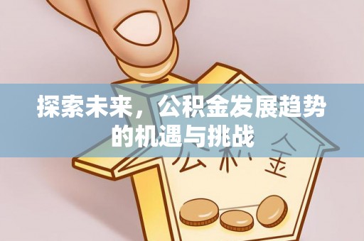 涟源探索未来，公积金发展趋势的机遇与挑战
