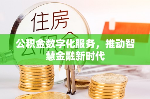 涟源公积金数字化服务，推动智慧金融新时代