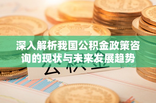 涟源深入解析我国公积金政策咨询的现状与未来发展趋势