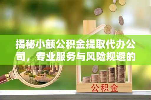 涟源揭秘小额公积金提取代办公司，专业服务与风险规避的平衡艺术