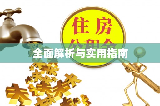 涟源全面解析与实用指南