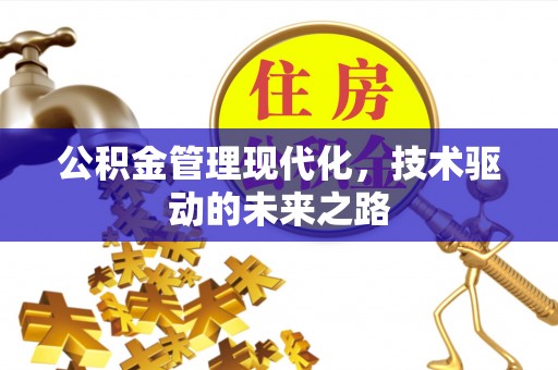 涟源公积金管理现代化，技术驱动的未来之路